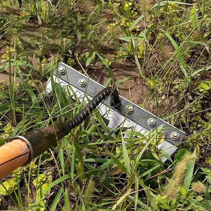 5 Teeth Carbon Steel Weeding Tool